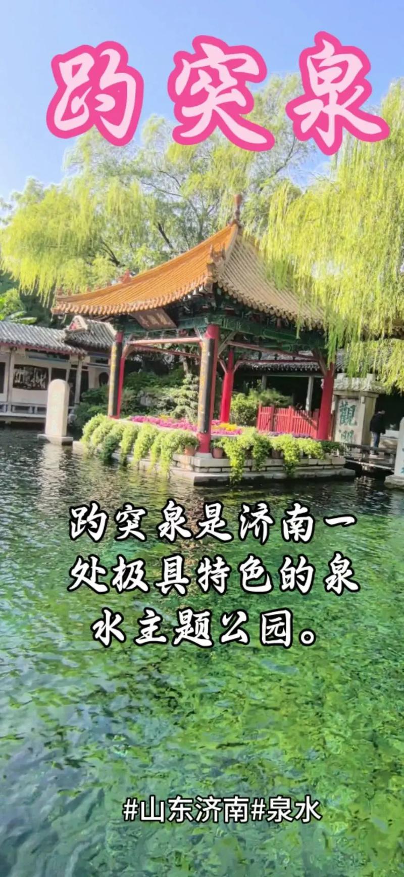 突泉,一个独特的城市风景,如何打造一个完美的网站?