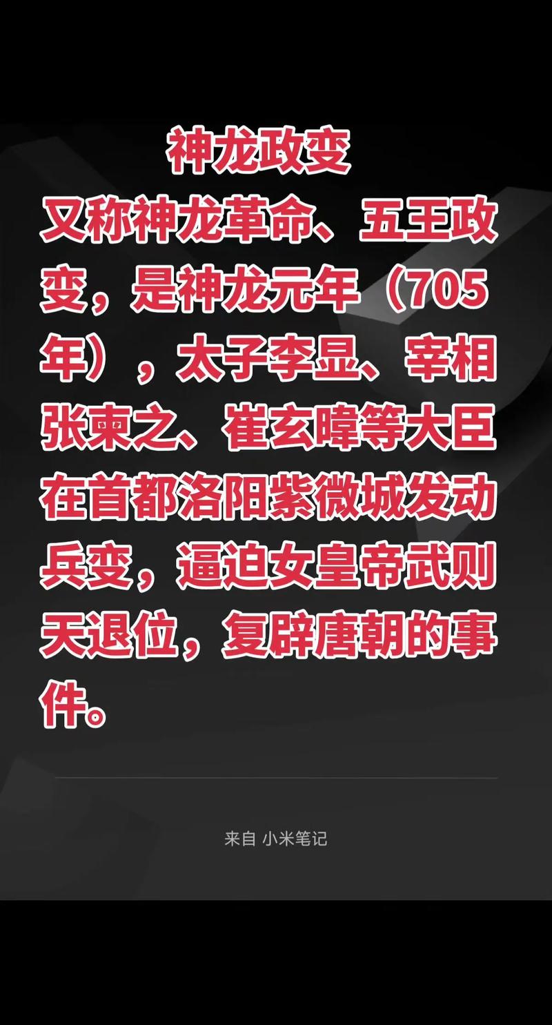 抖音流量背后的那些神龙代，dy招牌与神龙代的崛起之路