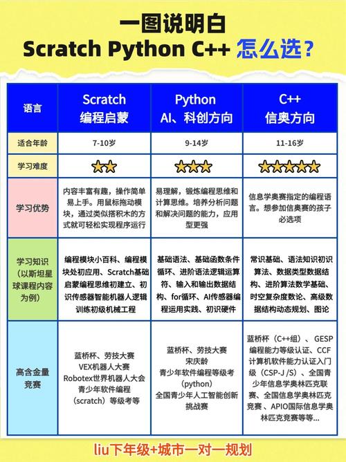网站开发语言的选择,从简单到复杂