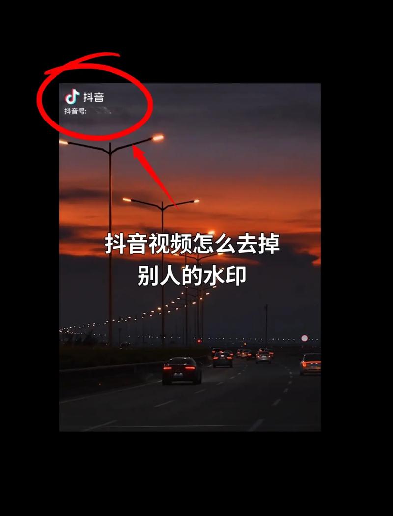 抖音热门秒刷,如何保护你的权益?去水印到底要怎么用?