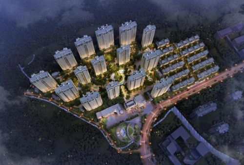 瑞安建设,从设计到优化,你值得成为!
