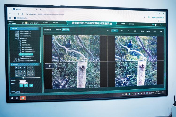 南宁站建设指南，打造专业、高效的 digital presence