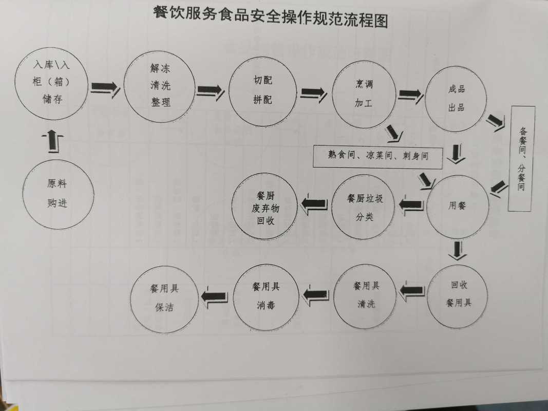 餐饮网络设计,从基础到应用的全图解指南