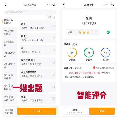 小程序建设的全面指南,从预算到运营,everything you need to know