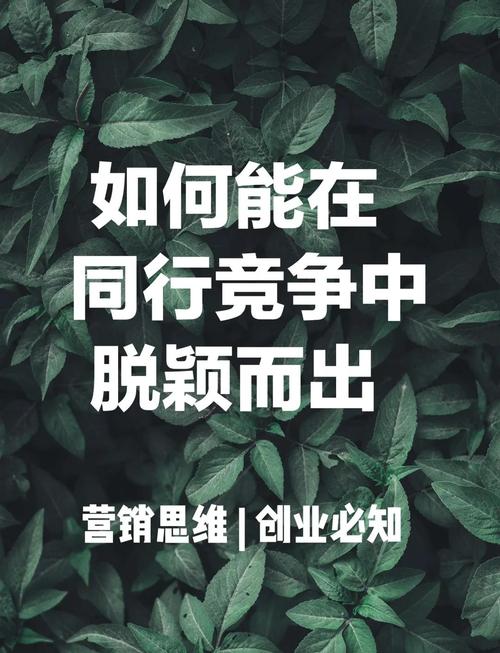 专注营销，如何在竞争中脱颖而出