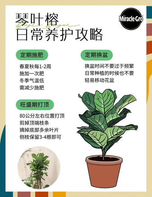让你的电脑宝贝植物顺利成长！铁拳3电脑版的养护指南