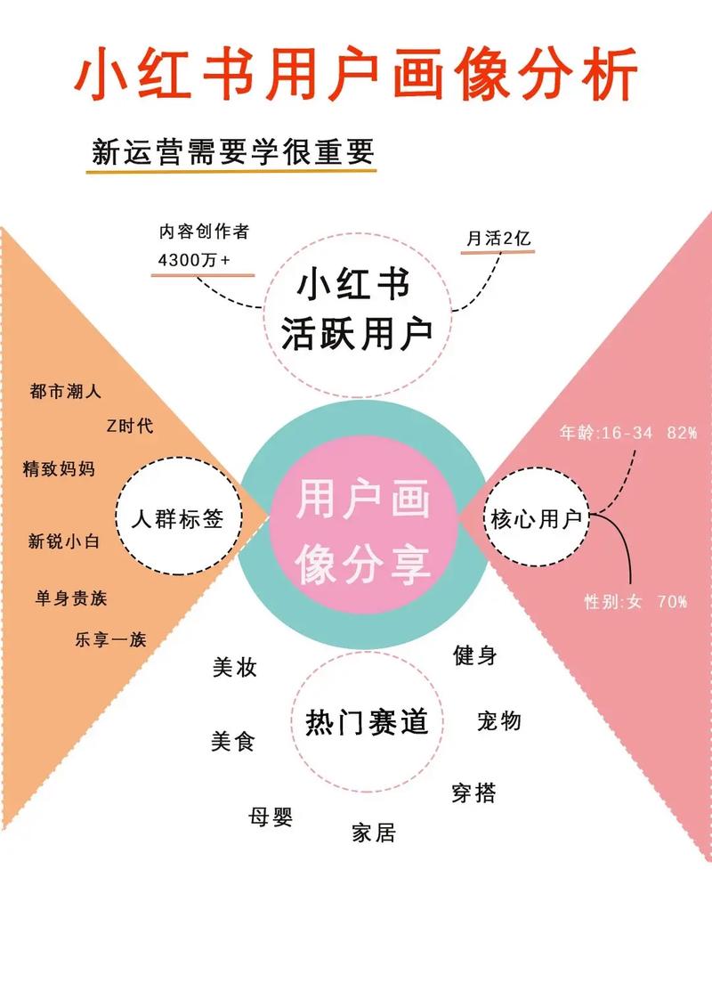 首先，从用户行为分析的角度来看，抖音的刷浏览量主要集中在以下几个方面