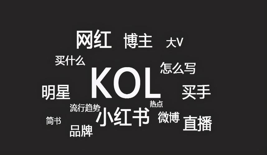 快手党！快手KOL合作如何成为销量王！