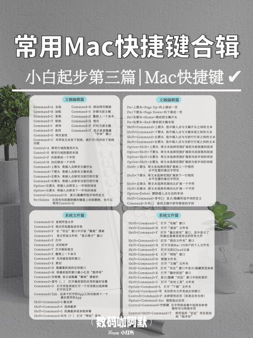 从新手到专家，如何高效使用苹果MacBook电脑
