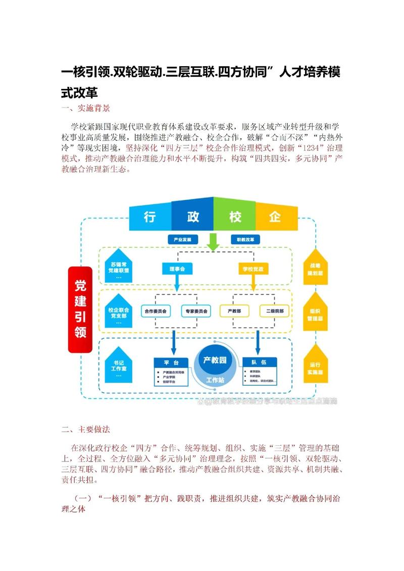 地方网络公司的核心价值，从技术到服务的未来