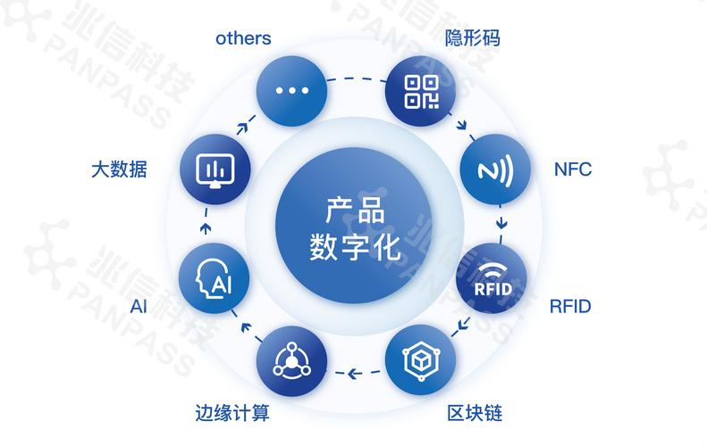 网络应用，企业数字化转型的关键武器