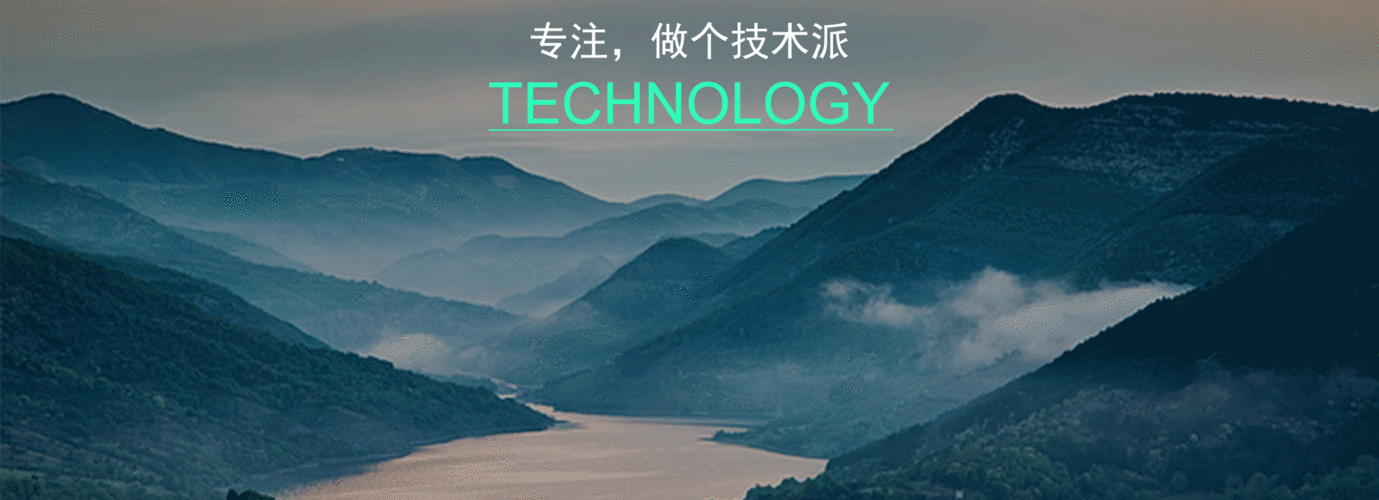动态网站建设，从战略到实践