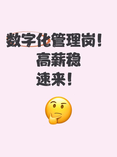成都网络优化，让数字内容绽放光彩