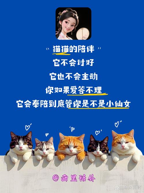 宠物网络用语指南，幸福的互动与理解