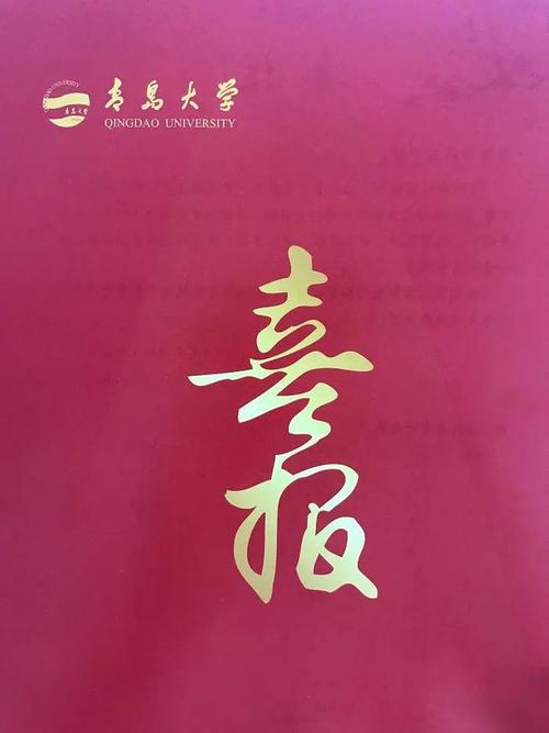 淄博网络服务，选择到你的理想！