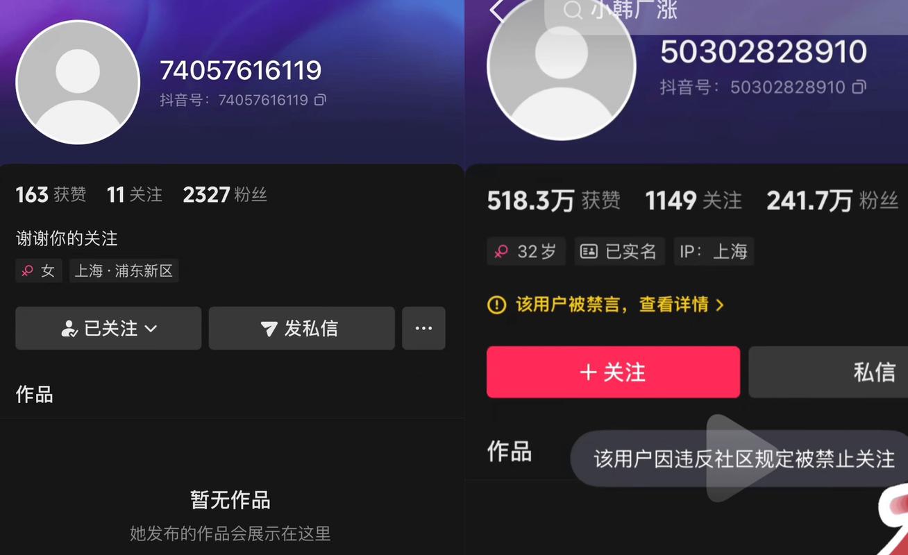 抖音刷赞自动平台，轻松提升账号曝光度