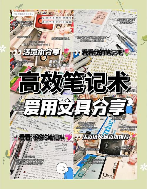 女生必看，用笔记本电脑高效学习的实用技巧