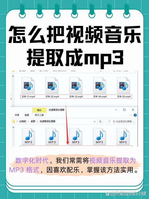 短视频推荐平台中的死粉与热门化,如何帮助用户找到真正喜欢的东西