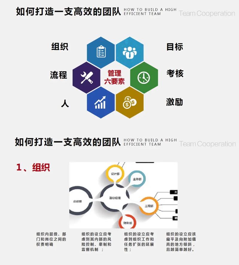 网络公司团队，从策略到行动，你的高效职场