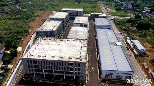 新桥专业网站建设，助力企业成长的秘籍