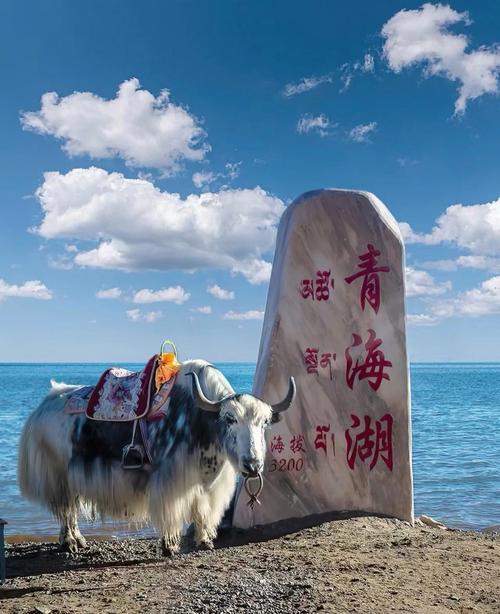 青海，一场独特的自然与人文之旅