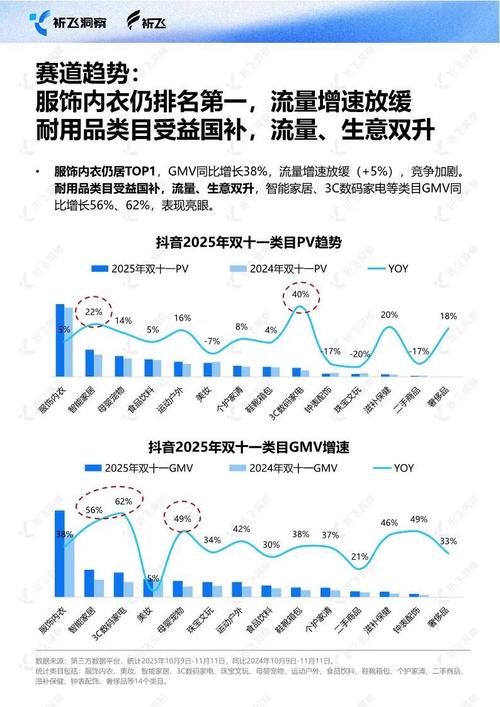 抖音平台的现状与未来