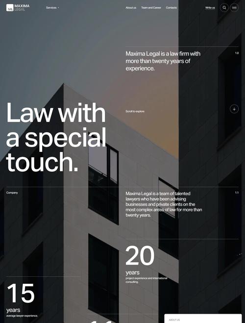 专业网站，构建技术与设计的完美融合