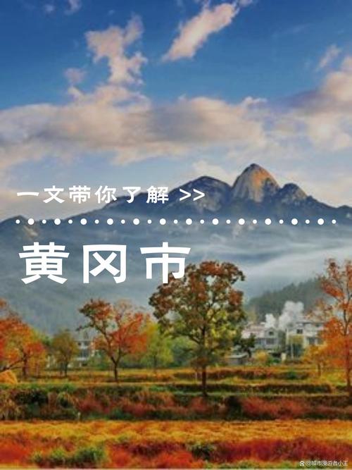 黄冈网络推广，让黄冈成为网络时代的黄金城市