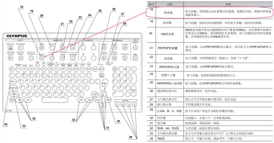 提升作品质量,从电脑配置到图像处理的全Range指南