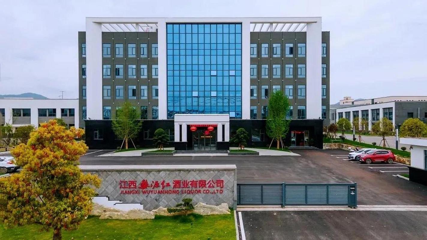 什么是婺源网络公司？