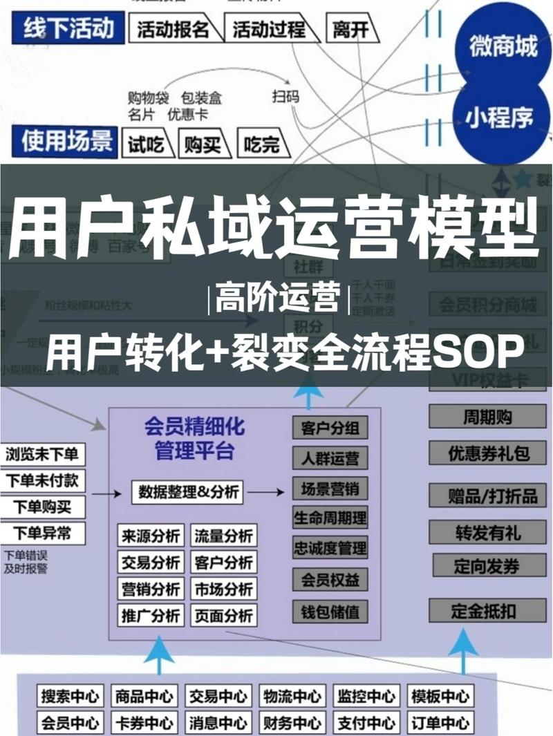 网络品牌服务,从成功到失败的路径