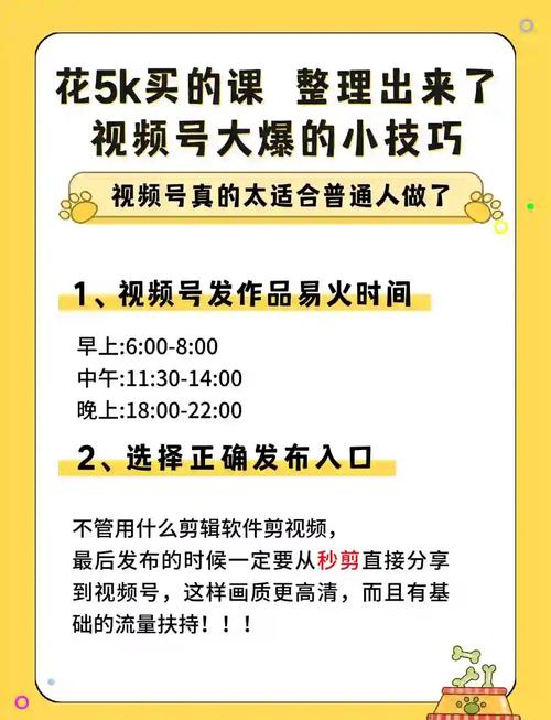 指南，短视频自助涨粉平台的运营指南