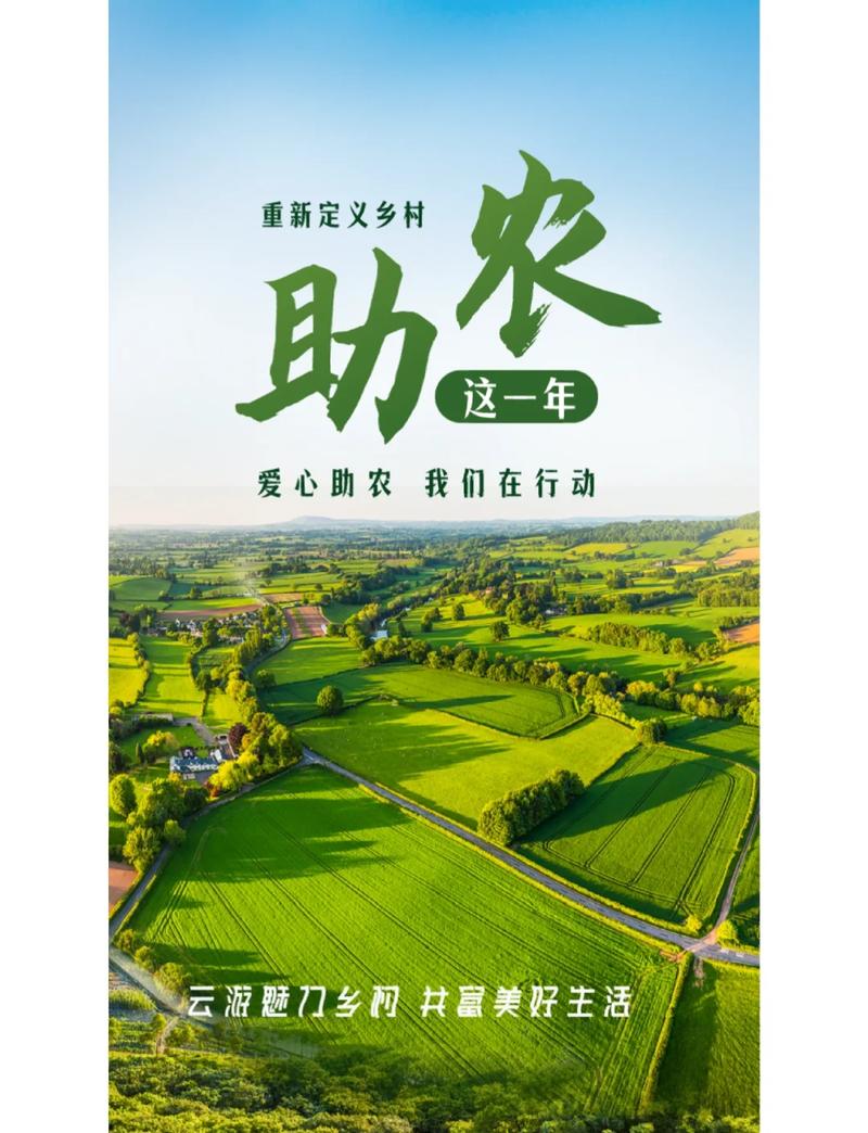 保定建设网站，助力乡村振兴，开启新的发展篇章