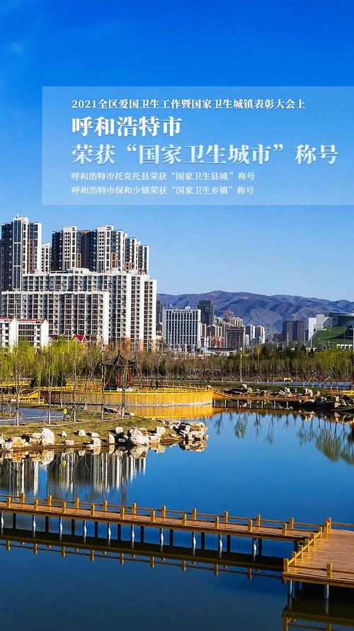 呼和浩特网络服务指南，让生活更便捷