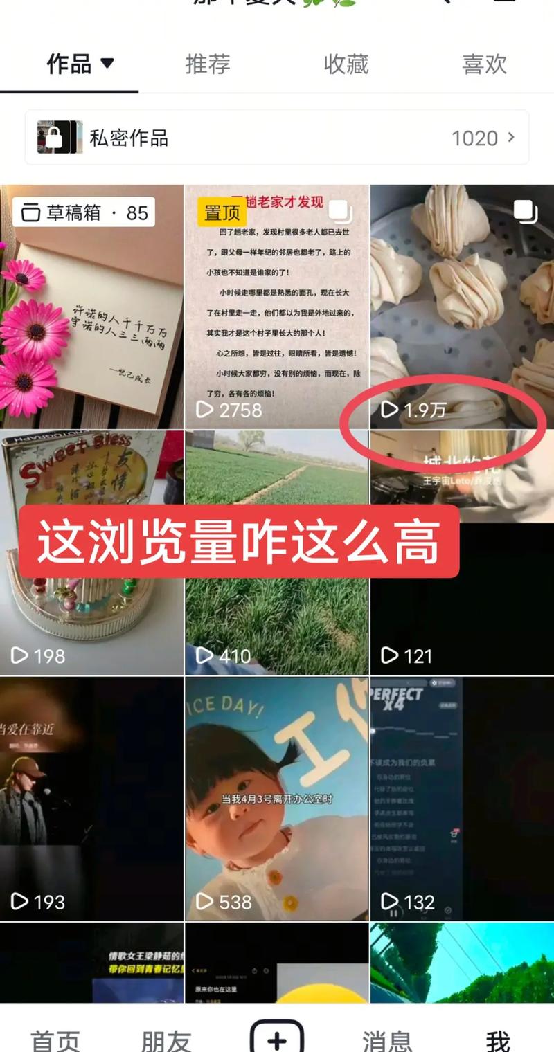 抖音两万多浏览量的原因与解决方案