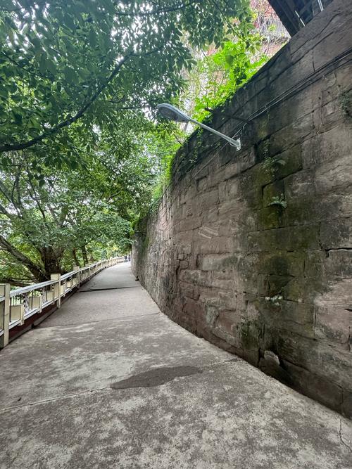 一个被遗忘的角落，学校网站建设的隐藏危机