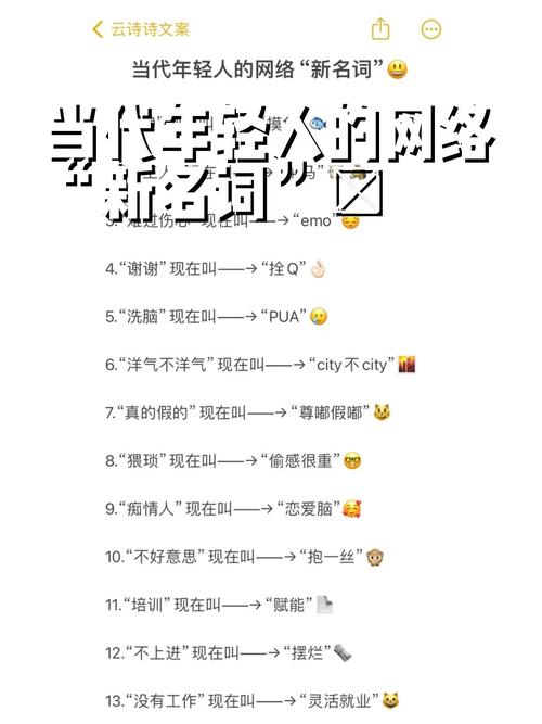 什么是我的网络语言?
