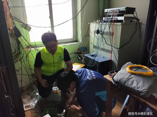 聊城网络公司，专业网络平台，助力您的网络增长