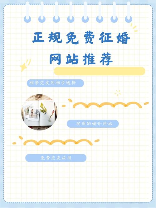 婚恋网站概述