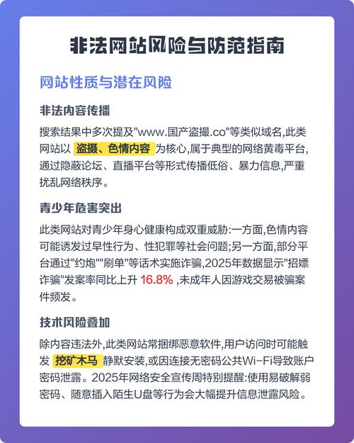 网络域名注册骗局指南，从防范到应对