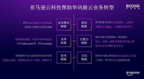 茌平网络优化，助力品牌快速崛起的高效策略