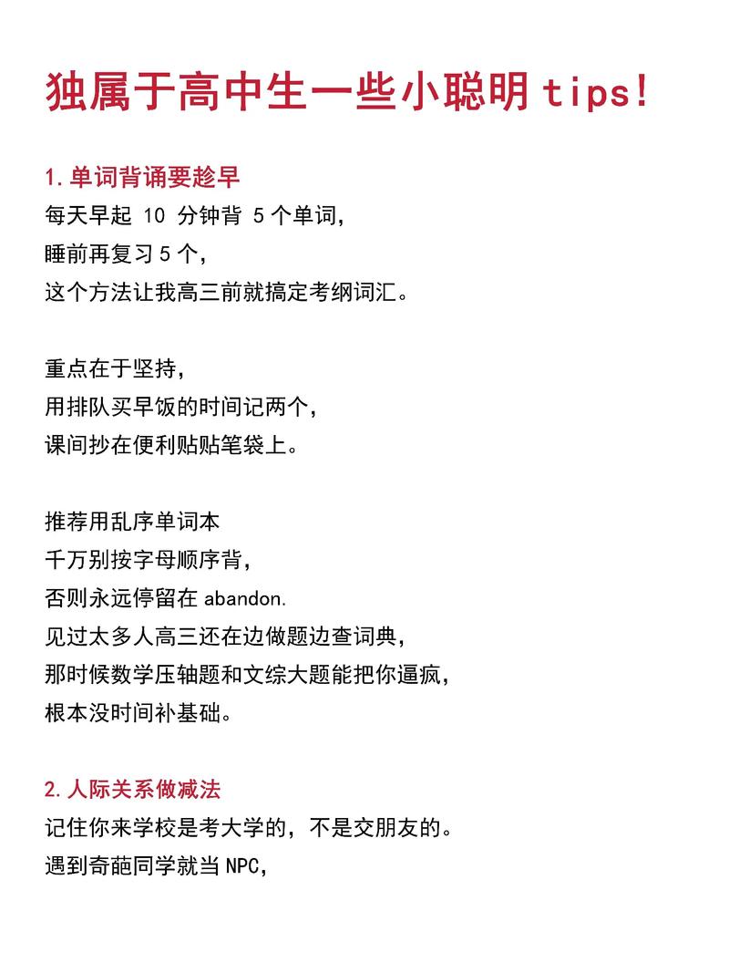 建议，从基础到应用的全面指南
