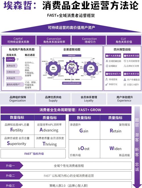 企业网络推广策划，从零开始到成功运营的全生命周期指南