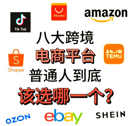 为什么选择我们的网络平台？