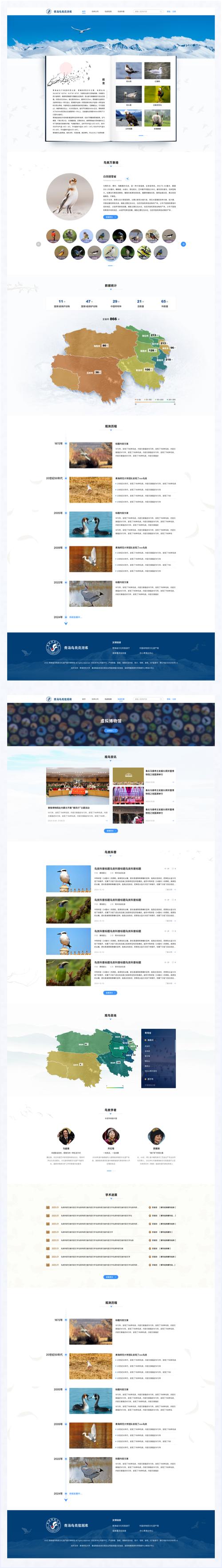 青海公司网站设计与开发指南