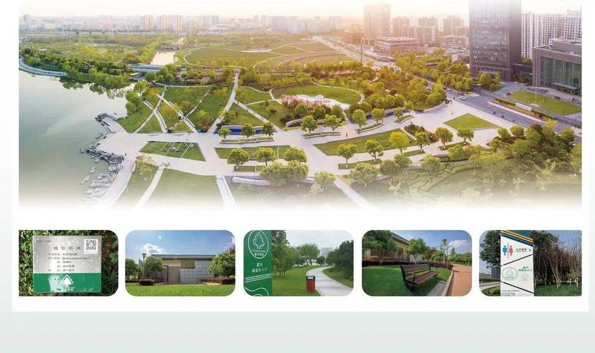 海宁嘉兴专业网站搭建指南