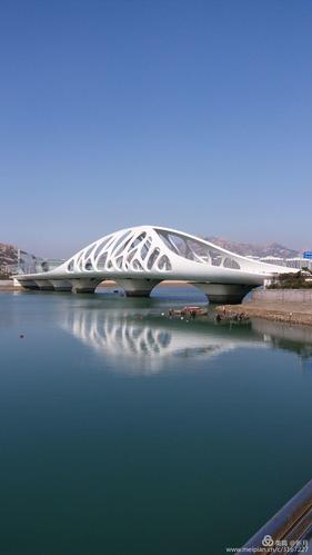 黄岛网站建设哪家权威