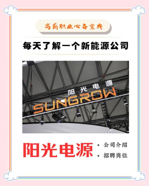 阳光网络公司，打造个人品牌，开启创业之路