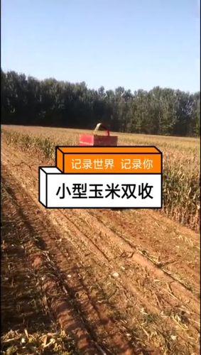神效秒双击，快手流量的双全解
