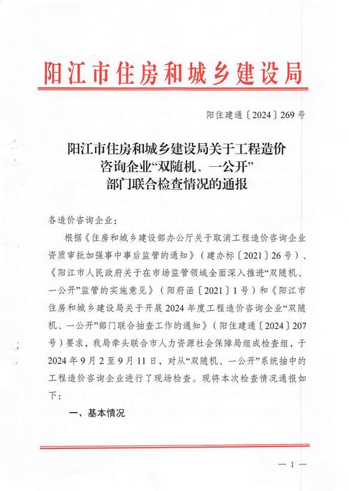 阳江网站建设报价，从需求分析到预算控制，全面解析方案